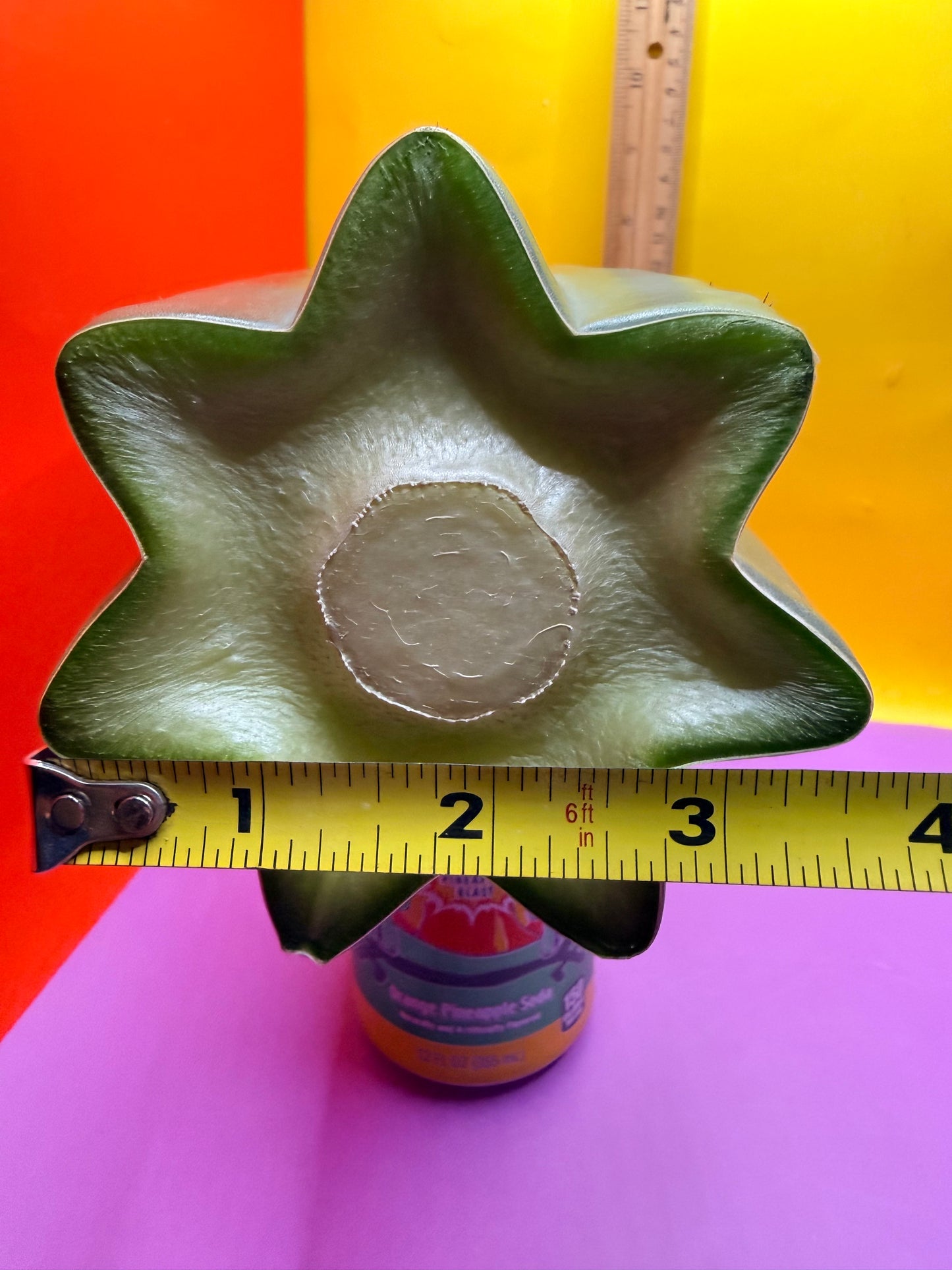 Mature Cahuilla cactus Mid section cutting