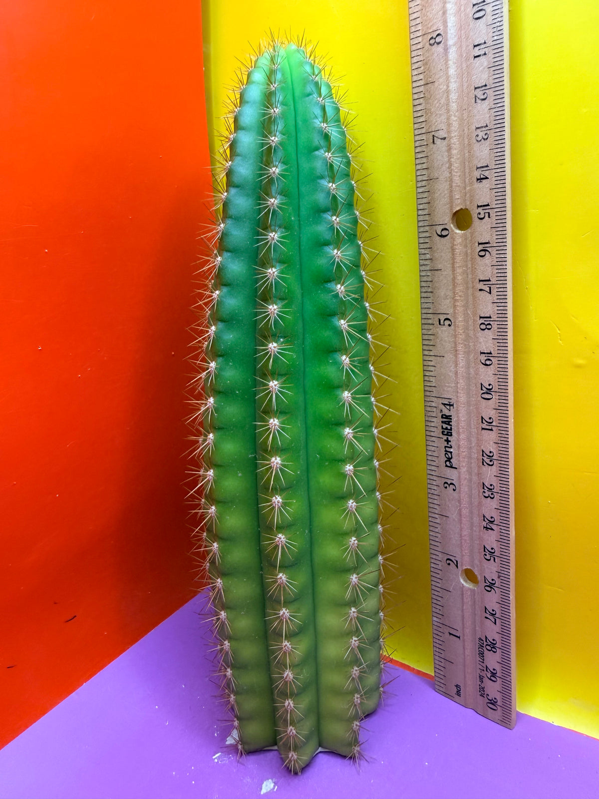 Neon Mittens