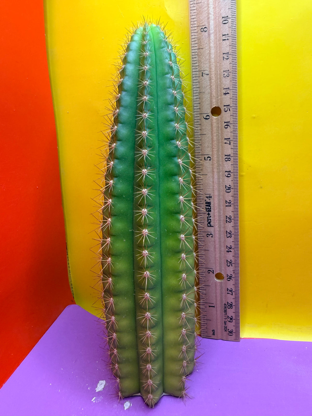 Neon Mittens