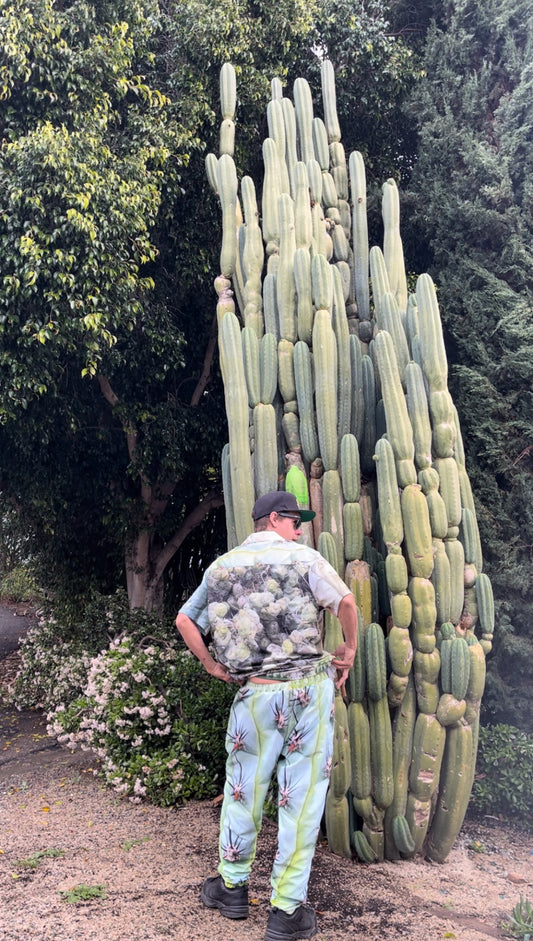 Cactus collared shirt  !!