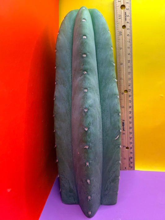 Cahuilla !!