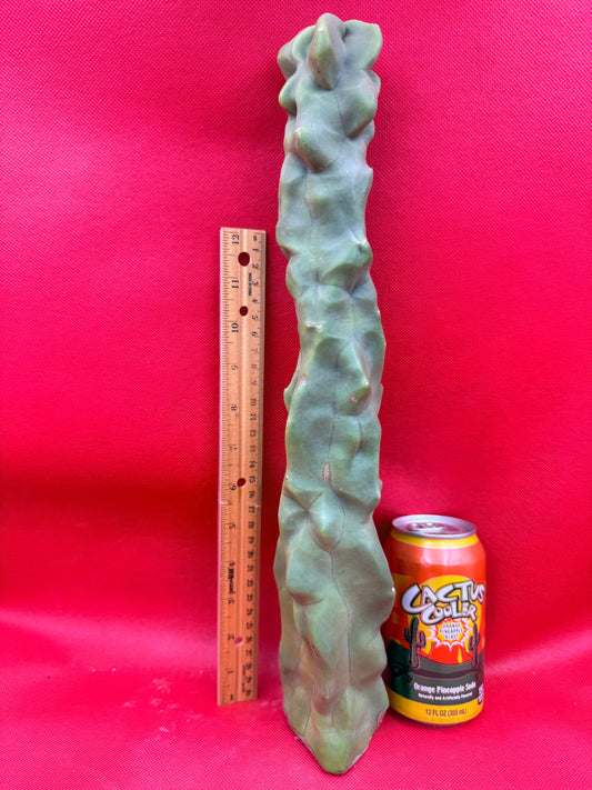 Spineless totem cactus