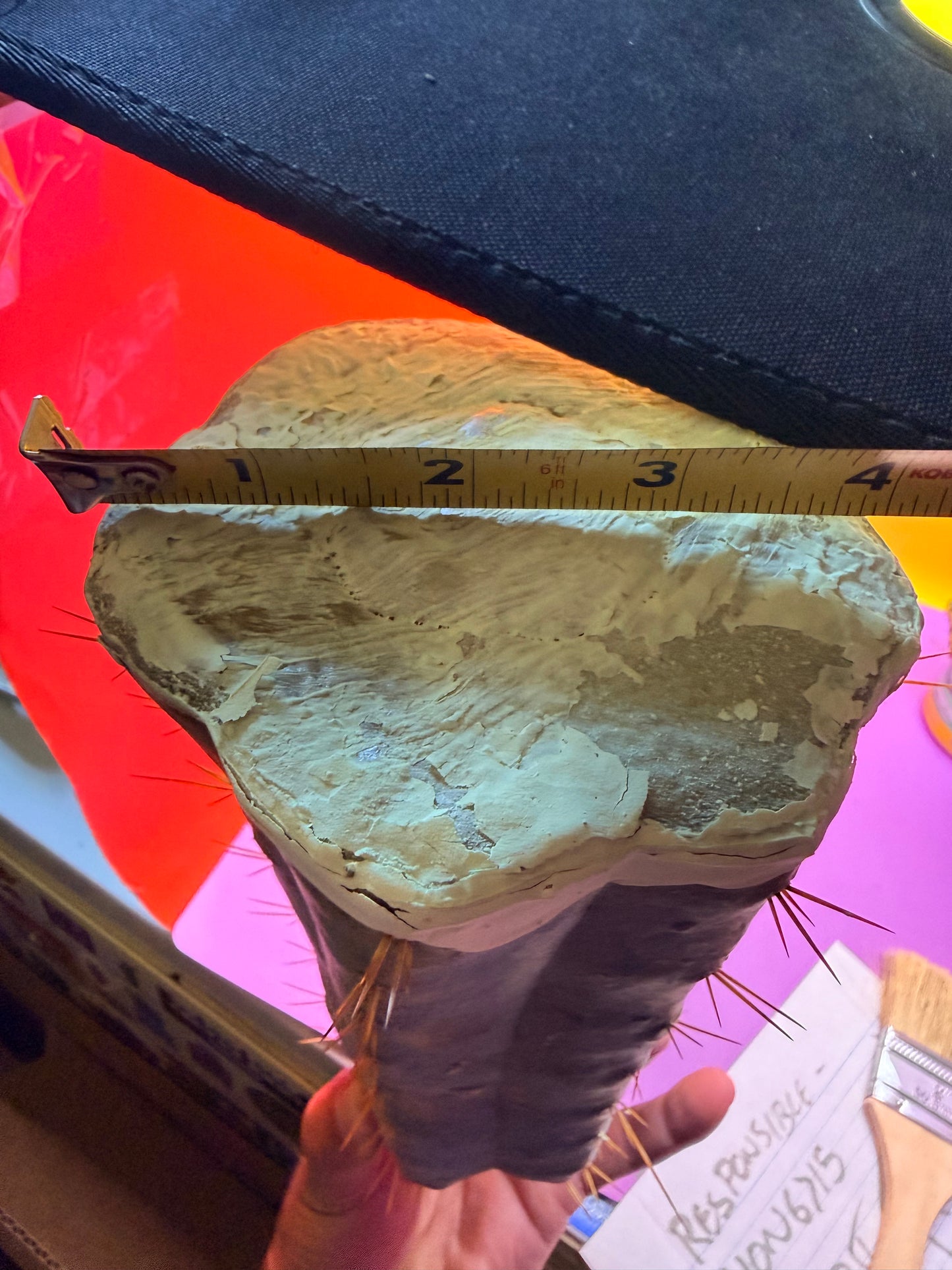CSD !!! 4” thick