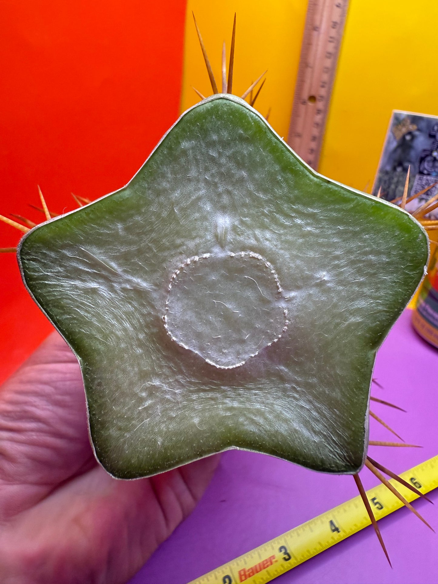 SSO2 X P.C. Almost 3” thick !