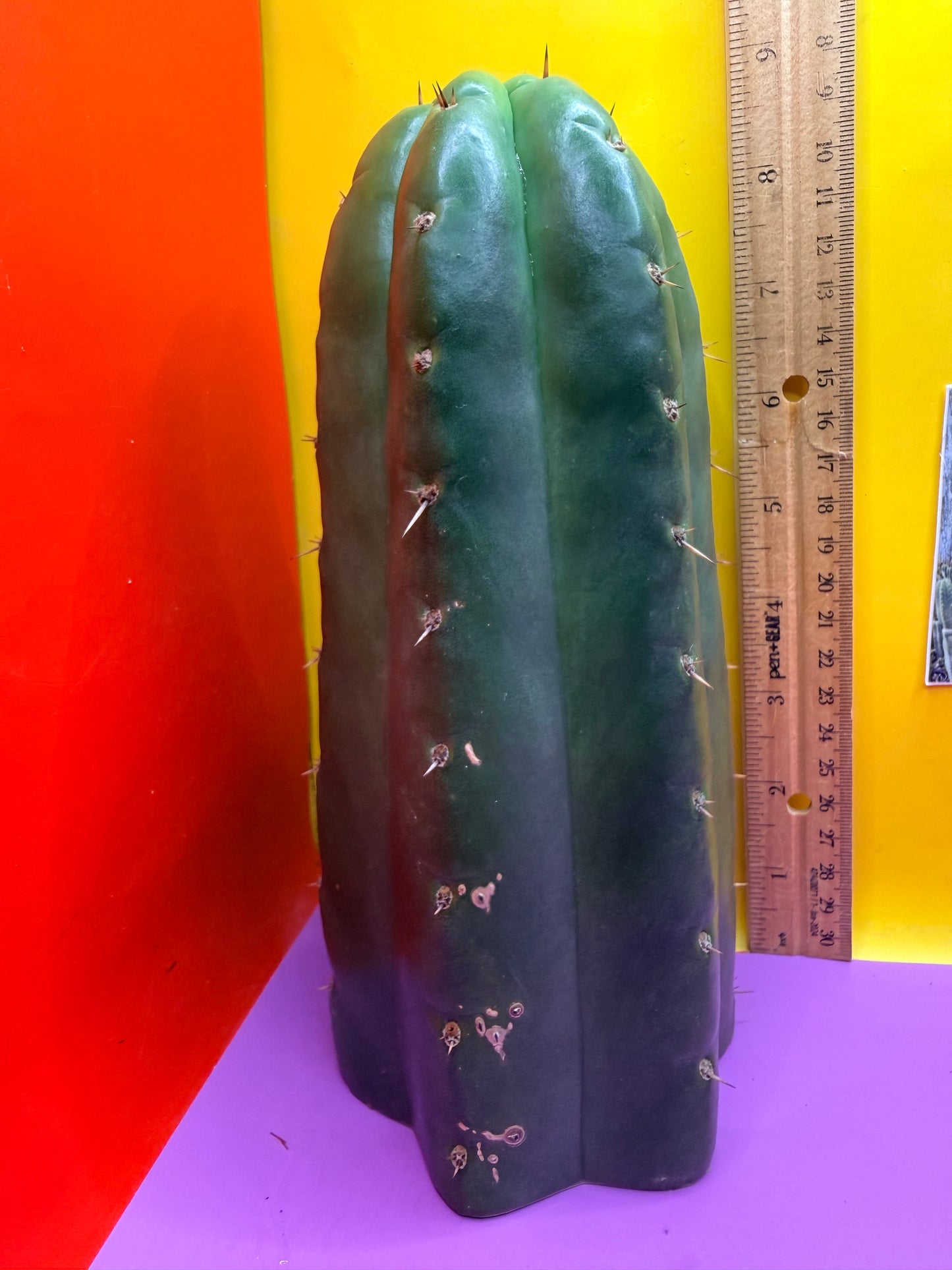 Seed Grown TPM !!