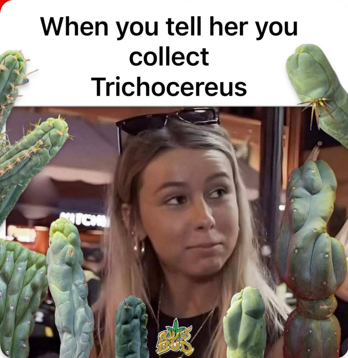 “LMA” bridgesii